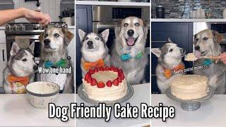 Dog Friendly Cake Recipe