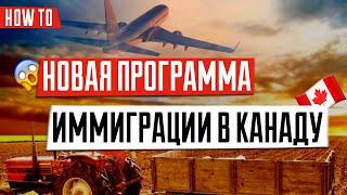 ИММИГРАЦИЯ В КАНАДУ  | Новая пилотная программа иммиграции в Канаду | Agri-Food Immigration Pilot