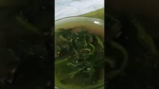 Sayur daun ubi jalar #food #cooking #irt