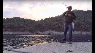 Barracuda from shore... Fishing Greece...