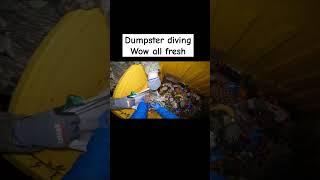 Dumpster diving Wow all fresh #shorts