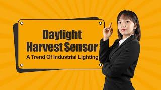 Daylight Harvesting Sensor ( Daylight sensor with DALI and 0-10V dimming)