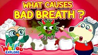 Ew! Why Did Wolfoo’s Breath Smell Bad!  Wolfoo Explore  - Human Body | Educational Videos for Kids