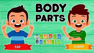 Learn Body Parts | Kids Songs | Baby & Toddler Educational Learning Videos with Super Renell