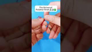 Palomar Knot to Figure 8 Ring – Best Connection Method!  #reeffun #diy #fishinghook #fishhook