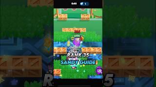 Rank 35 Sandy Guide