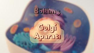 Hüceyrə Fiziologiyası: Golgi Aparatı (3)