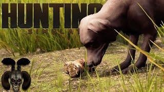 A Bloody Shoe! Mission 4  - A Ranger's Life! Hunting Simulator 2