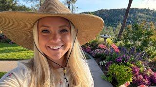 Celebrating Summer Break & Update of My Mom's Garden! ️ My Parent's Garden Tour