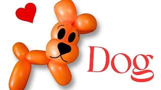 Dog: Balloon Animals for Beginners