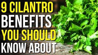 9 Benefits Of Cilantro You Should Know! | Health Benefits Of Cilantro