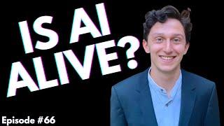 Is AI Alive? | Episode #66 | For Humanity: An AI Risk Podcast