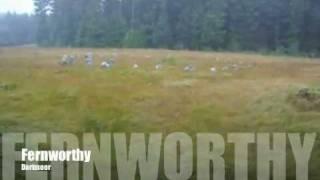 Fernworthy