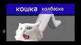 кошка колбаска