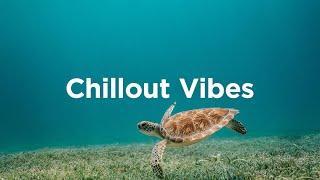 Chillout Vibes Relaxing House Mix