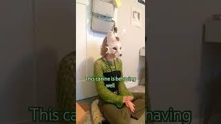 mushroom plush  :33 ||#furry #mask #otherhearted #therian #alterhuman #cosplay #mushroom #fyp#viral
