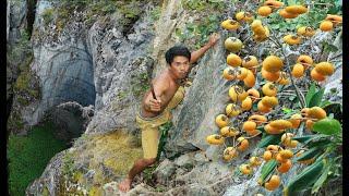 Use Life In Jungle Find Fruits are food - hungry men Eating Persimmon delicious