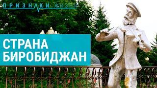 Биробиджан, моя страна. Как сохраняют традиции в Еврейской автономной области | ПРИЗНАКИ ЖИЗНИ