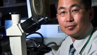 Glaucoma Research Foundation (Introduction)