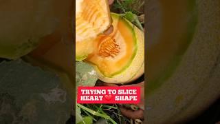 Heart shape slicing #muskmelonboy #muskmelonfarming #slice #heartshapedesign@bunnychauhanfounder