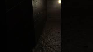 He's crawling after me - scary roblox game