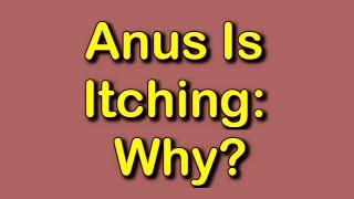 Anus Is Itching: Why?