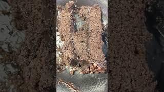Happy Birthday to me with a Rock 'n' Roll triple chocolate Cake