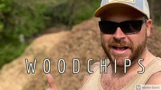 FREE wood chips!