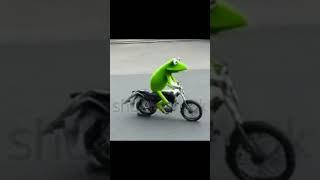 Kermit the Frog on a motorbike (Interpolated)