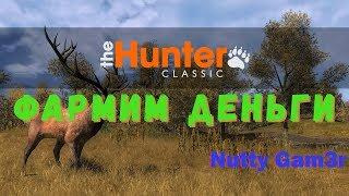 theHunter classic - фармим деньги на покупку нового оружия