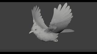 Bird Flying Animation