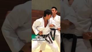 Bunkai of heian sandan kata by Naka Sensei