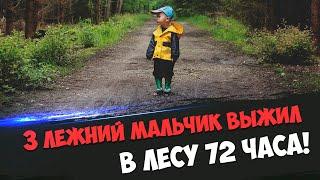 3-х летний мальчик провел 72 часа в лесу и смог выжить!