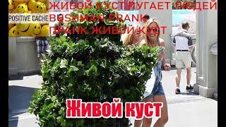 живой куст пугает людей / Bushman Prank / ПРАНК ЖИВОЙ КУСТ