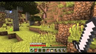 Mikkel Frost Minecraft 180 - Strange World