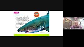 Great White Sharks - Read by Mr. Bandy