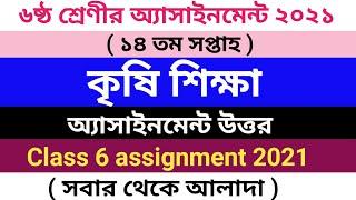 Class 6 14th week agriculture assignment answer || ৬ষ্ঠ শ্রেণীর ১৪ তম সপ্তাহের কৃষি শিক্ষা উত্তর