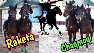 RAKETADAY UCHADI DEDIMI  OTLARNI KURING SOTILADI RAKETA & CHAQMOQ #uloq#otlar#otbozor#horses#лошад