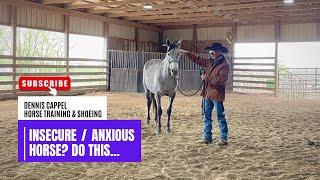 D/C  HOW TO HELP & WORK WITH A HORSE THAT FEELS ANXIOUS Or INSECURE 