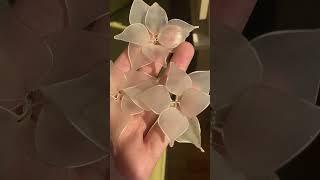 Vitral smola texnikasi#youtubeshorts#handmade