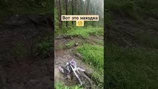 засадил мопед в болото #эндуро #2024 #лес#грязь#shorts #motovlog