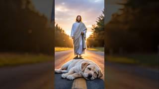 God loves dogs  #cute #cuteanimals #dog #dogshorts