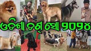 Dog Show Odisha 2024 Orissa Kennel Club Full Video Over 300 dog at one place