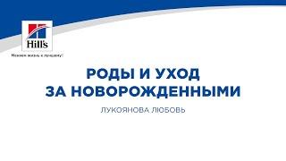 Вебинар на тему: “Роды, родовспоможение и уход за новорожденными”. Лектор - Любовь Лукоянова.