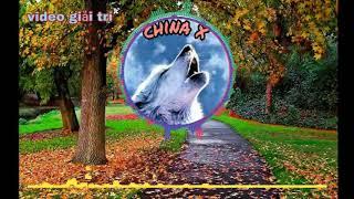 Song nhạc video giải trí hay nhât |china X