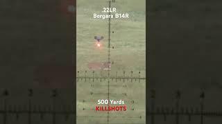 Bergara B14R @500 yards #Bergara