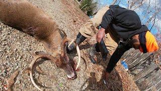 Deer Doggin with JCHC Ep2 Big buck Nick