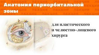 Лекция: Анатомия периорбитальной зоны для пластического и челюстно-лицевого хирурга