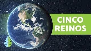 Los 5 REINOS de la NATURALEZA  y sus Características (para Niños)