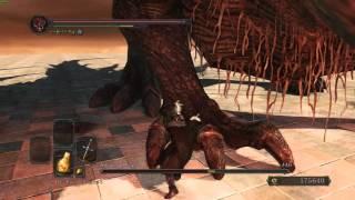 Dark Souls 2 - The Ancient Dragon NG+